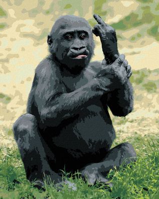 Zuty - Malen nach Zahlen - BßSER Gorilla, 40x50 cm