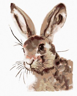 Zuty - Malen nach Zahlen - Niedliches Kaninchen, 40x50 cm