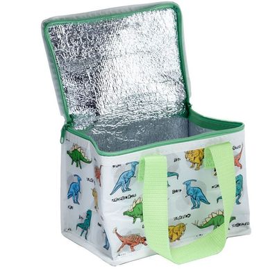 Kühltasche Dinosaurier Picknick Kühlbox recycelt 21 cm NEU