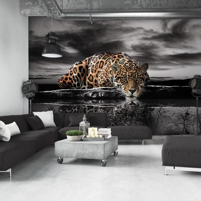 Vlies Fototapete Tiger Tiere Afrika Wohnzimmer Schlafzimme Wandtapete TAPETE XXL