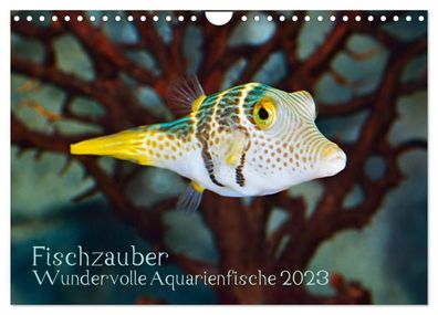 Fischzauber - Wundervolle Aquarienfische 2023 Wandkalender