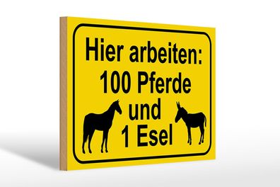Holzschild Hinweis 30x20 cm arbeiten 100 Pferde und 1 Esel Deko Schild wooden sign