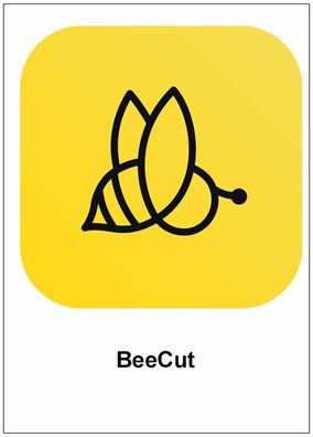 BeeCut - Videobearbeitung - Bild-im-Bild - Optimierung - PC Download Version