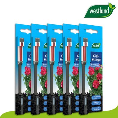 Westland 5 Stück Gießanzeiger klein (16 cm) | anthrazit Topfpflanzen Beet Kasten