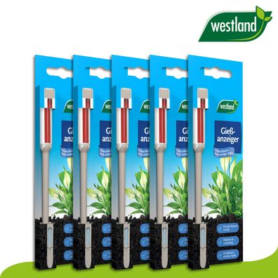 Westland 5 Stk. Gießanzeiger klein (16 cm) | steingrau Beet Topfpflanzen Wasser