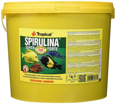 Tropical Spirulina Super forte 36 % 5000 ml