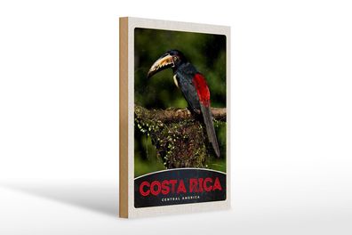 Holzschild Reise 20x30 cm Costa Rica Central America Vogel Schild wooden sign