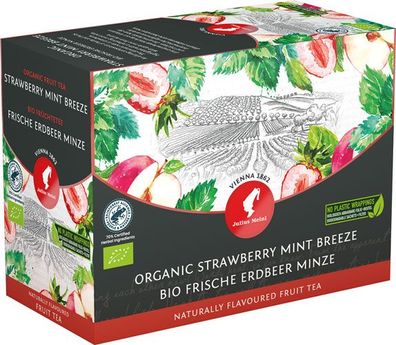 Julius Meinl Big Bag Bio Frische Erdbeere-Minze (1 Beutel für ca. 1 lt. Wasser),
