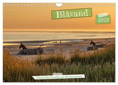 Blåvand - Dänemarks Paradies am Nordseestrand 2023 Wandkalender