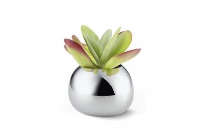 Bella Vase - Philippi Design