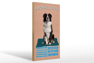 Holzschild Spruch 20x30 cm Border Collie Hund protective Deko Schild wooden sign