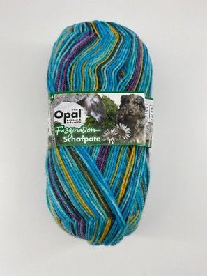 Opal Pullover und Sockenwolle "Faszination Schafpate" türkis