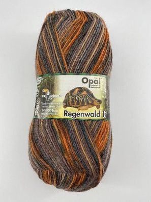 Opal Pullover und Sockenwolle "Regenwald" braun/ orange