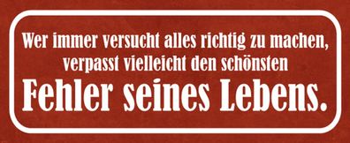 Blechschild Spruch 27x10 cm schönster Fehler seines Lebens Deko Schild tin sign
