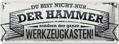 Blechschild Spruch 27x10 cm Du bist nicht nur der Hammer Deko Schild tin sign