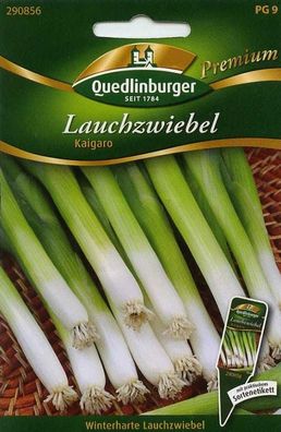 Lauchzwiebel, Kaigaro