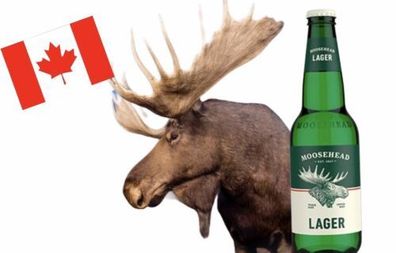 6 x Moosehead Lager Bier in 0,350 Ltr. Flasche aus Kanada