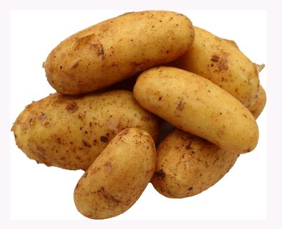 Bleichhof 5kg Ernte 2023 Kartoffeln aus der Pfalz - Sorte: Annabelle festkochend