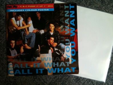 New Kids on the Block: Call it what you want 7'' POSTER
