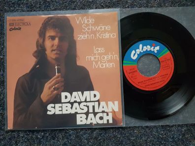 David Sebastian Bach - Wilde Schwäne zieh'n, Kristina 7'' Single