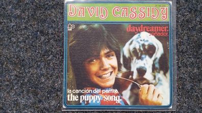 David Cassidy - Daydreamer (Sonador)/ The puppy song 7'' Single SPAIN