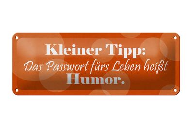 Blechschild Spruch 27x10 cm Passwort für\'s Leben Humor Deko Schild tin sign