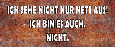 Blechschild Spruch 27x10 cm sehe nicht nur nett aus ich bin Deko Schild tin sign