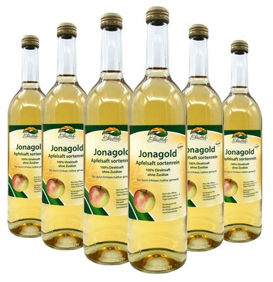 Bleichhof Apfelsaft Jonagold — 100% Direktsaft, sortenrein, 6er Pack (6 x 0,72l)