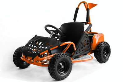 1000W Eco Buggy GoKid 6 Zoll 48V Offroad Kinderbuggy GOKART