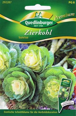 Zierkohl, Sunrise