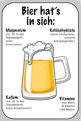 Blechschild Spruch 20x30 cm Bier Magnesium Kalium Vitamine Deko Schild tin sign