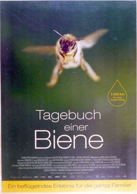 Tagebuch einer Biene - Original Kinoplakat A1 - Doku v. Dennis Wells (II)- Filmposter