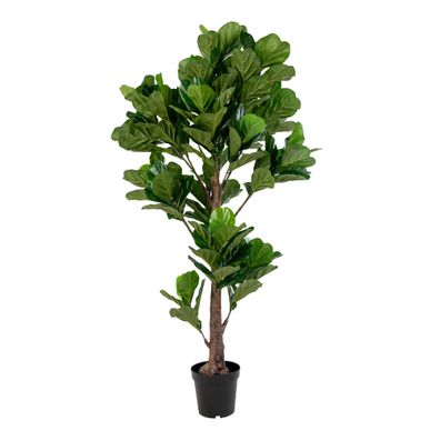 Geigenbaum - Künstliche Pflanze ca. H190cm