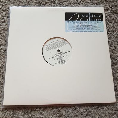 Celine Dion - It's all coming back to me now 12'' Disco Vinyl US PROMO 2