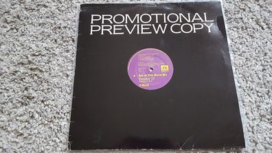 Paradise X 10 - 2 much 12'' Disco Vinyl