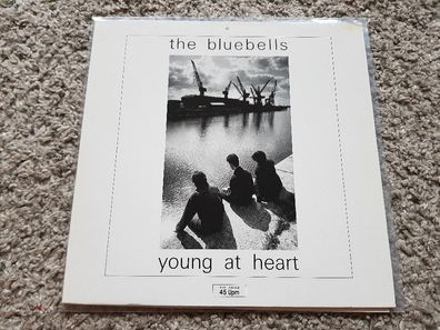 The Bluebells - Young at heart 12'' Vinyl Maxi Germany