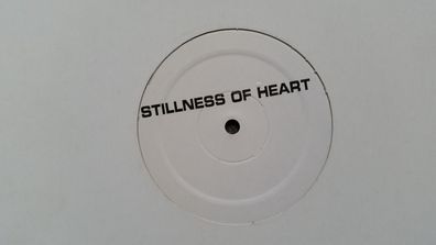 Lenny Kravitz - Stillness of heart 12'' Promo