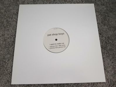 Pet Shop Boys - Can you forgive her/ I want to wake up 12'' Vinyl UK PROMO