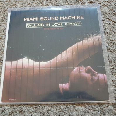 Gloria Estefan/ Miami Sound Machine - Falling in love Extended UK 12'' Vinyl