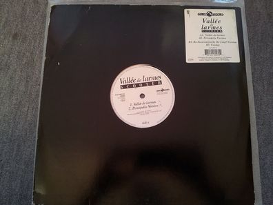 Scooter - Vallee de larmes 12'' Vinyl Maxi