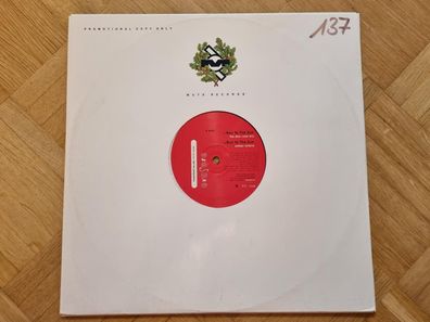 Erasure - Run to the sun 12'' Disco Vinyl PROMO