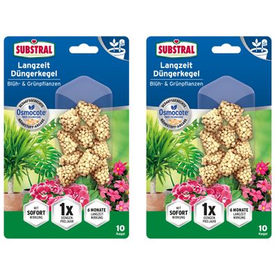 2 x Substral® Langzeit Düngerkegel Blüh- & Grünpflanzen, 10 Stück