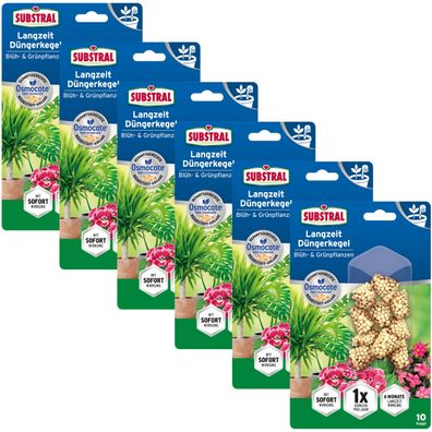 6 x Substral® Langzeit Düngerkegel Blüh- & Grünpflanzen, 10 Stück