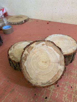 10 Baumscheiben, Holzscheibe, basteln, ca 15x2 cm