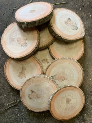20 Baumscheiben, Holzscheiben, basteln, Weihnachten, Deko, ca. 8-10x2 cm, Esche