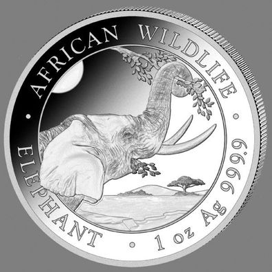 1 oz. Unze 999,9 Silber Somalia Elefant 2023 Silbermünze - Neuware
