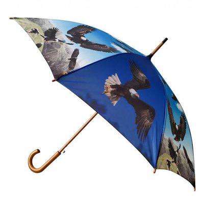 Regenschirm Adler Automatikschirm Stockschirm Schirm Schirme Vogel Vögel Tiere