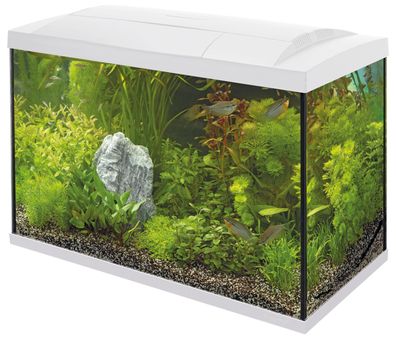 SF Tropical Set 70 Aquarium weiß inkl. LED, Filter, Heizer usw.