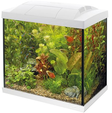 SF Tropical Set 50 Aquarium weiß inkl. Filter, Heizer, LED usw.