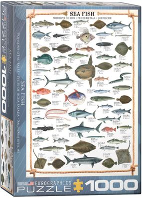 EuroGraphics 6000-0313 Meeresfisch 1000 Teile Puzzle